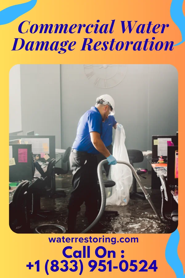 Commercial Water Damage Restoration in Alamo, TX