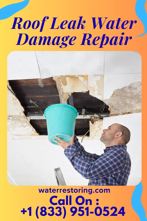 Roof Leak Water Damage Repair in Alamo, TX