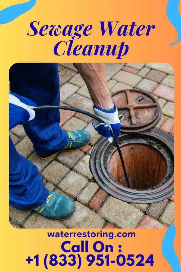 Sewage Water Cleanup in Alamo, TX
