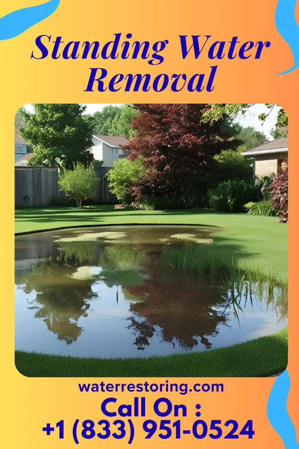 Standing Water Removal in Alamo, TX